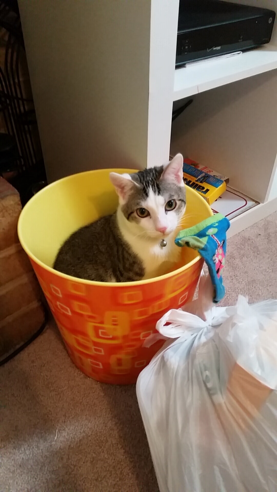 AI预测比赛走势,辅助观众理解精彩瞬间,ai预测比赛走势,辅助观众理解精彩瞬间的意思