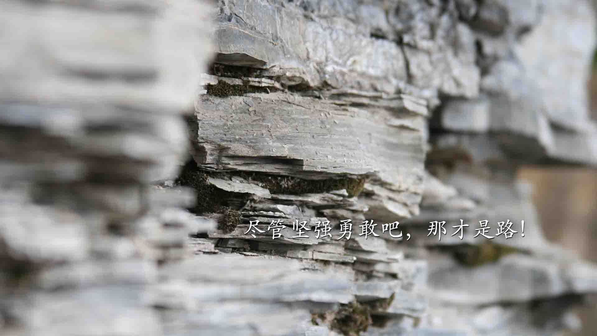 AI驱动战术分析:让比赛更激烈、观赏性更高的未来发展方向,ai的三大驱动