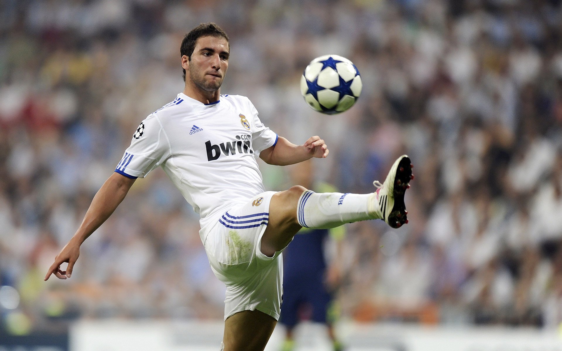 中国足球职业俱乐部开发个性化球员成长档案,国内足球球员数据网站