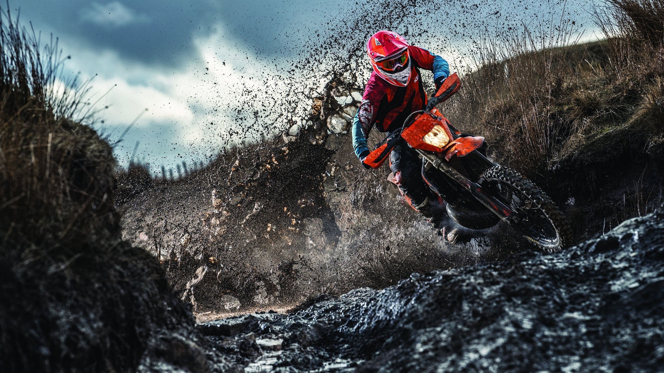 史密斯决赛发挥稳定赢得认可，史密斯去哪个队了