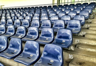 爱游戏大厅-竞彩市场火热，足球预测分析工具受追捧，竞彩足球预测推荐